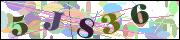 image-captcha