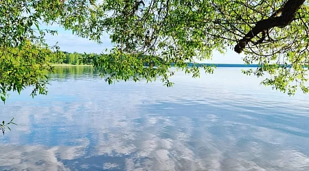 сердечные заболевания